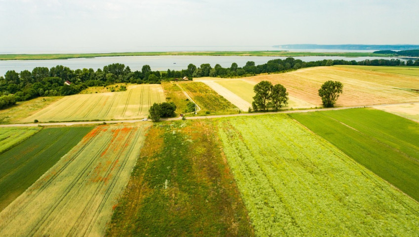Działka Sprzedaż Wolin